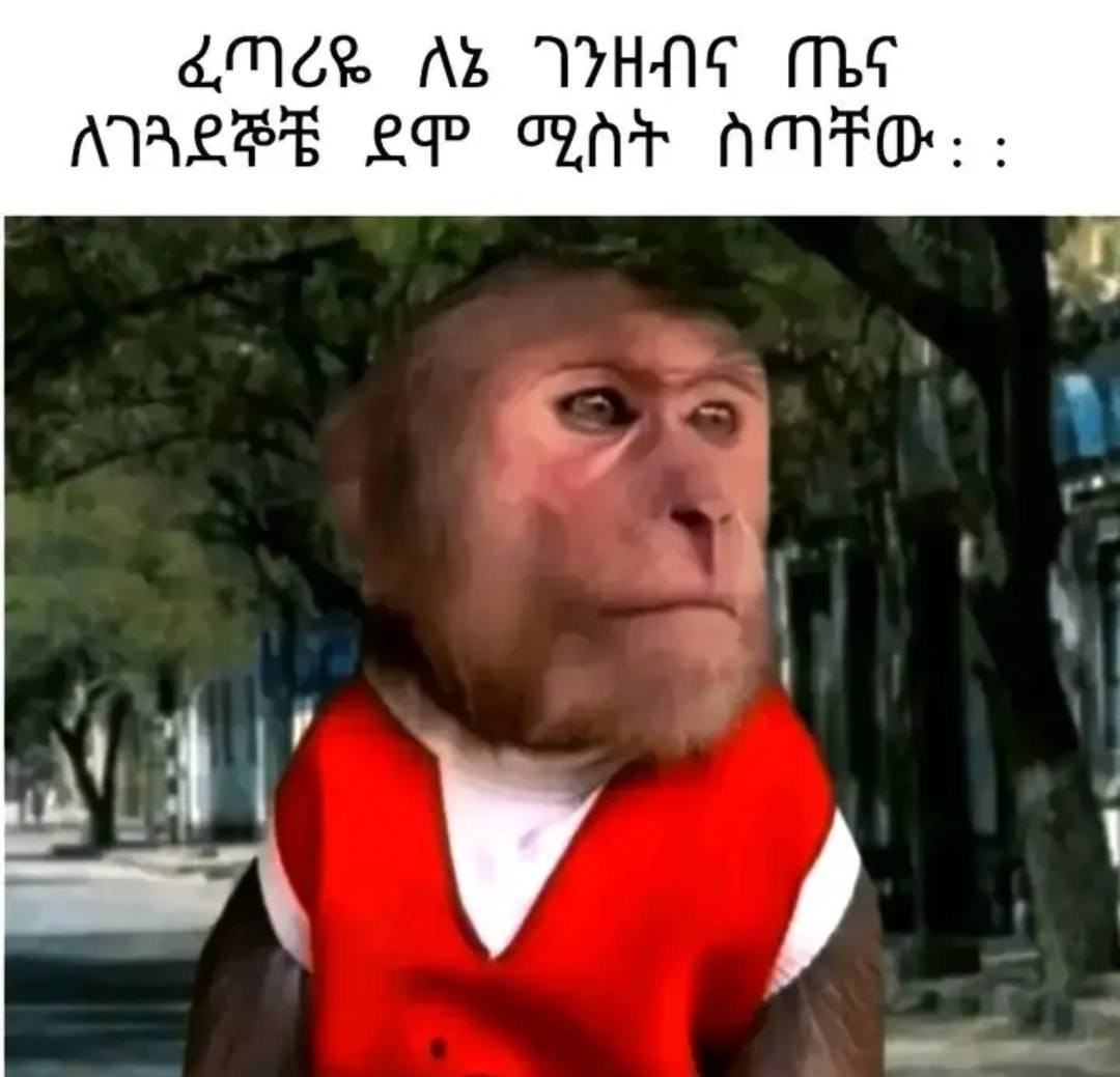 በና ዜደነሪዬ ለሄ ገንዘ eee Ke